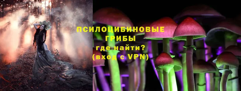 Галлюциногенные грибы Magic Shrooms  Старый Оскол 